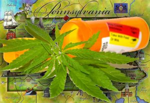 PA-cannabis